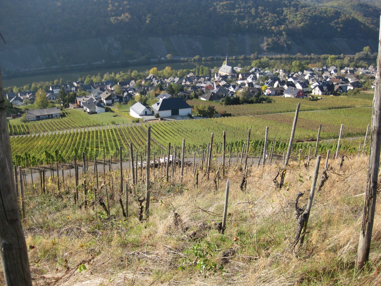 VUE SUR NEUMAGEN-DHRON