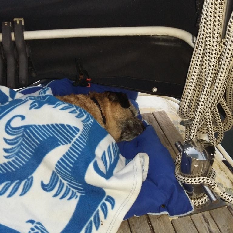 ELVIS FINI SA NUIT
