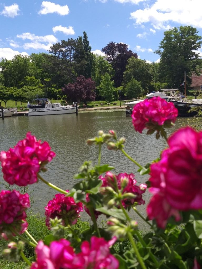 Georiane parmi les fleurs