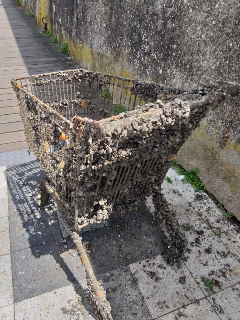 trouvé dans la Moselle