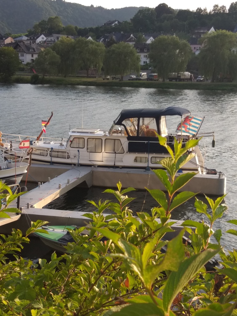 PONTON DE ZELL