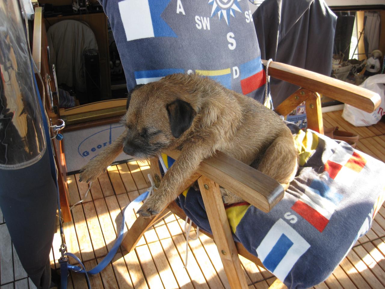 Elvis en pleine sieste