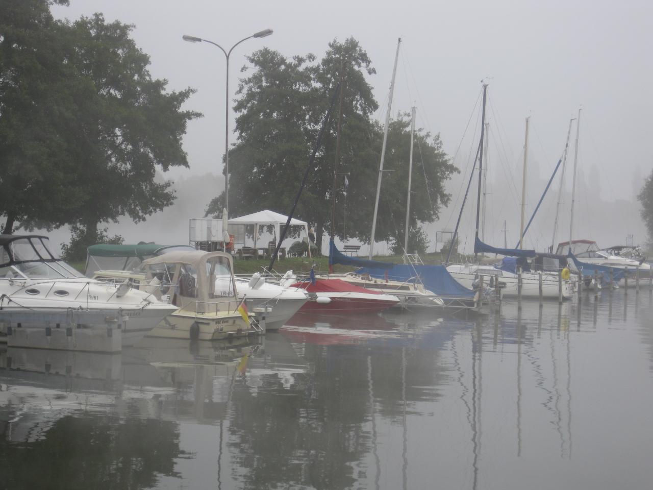 encore du brouillard