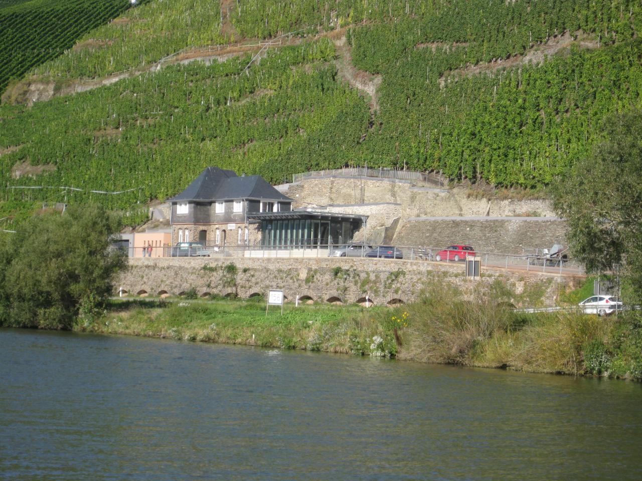 Trittenheim