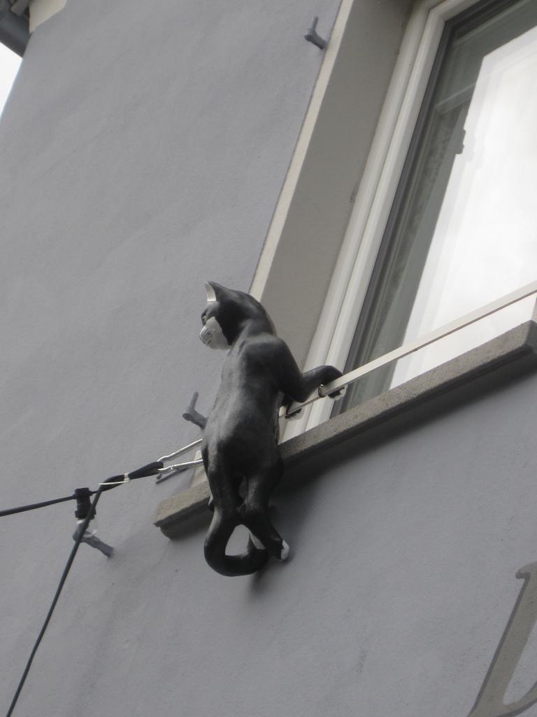Salut le chat...