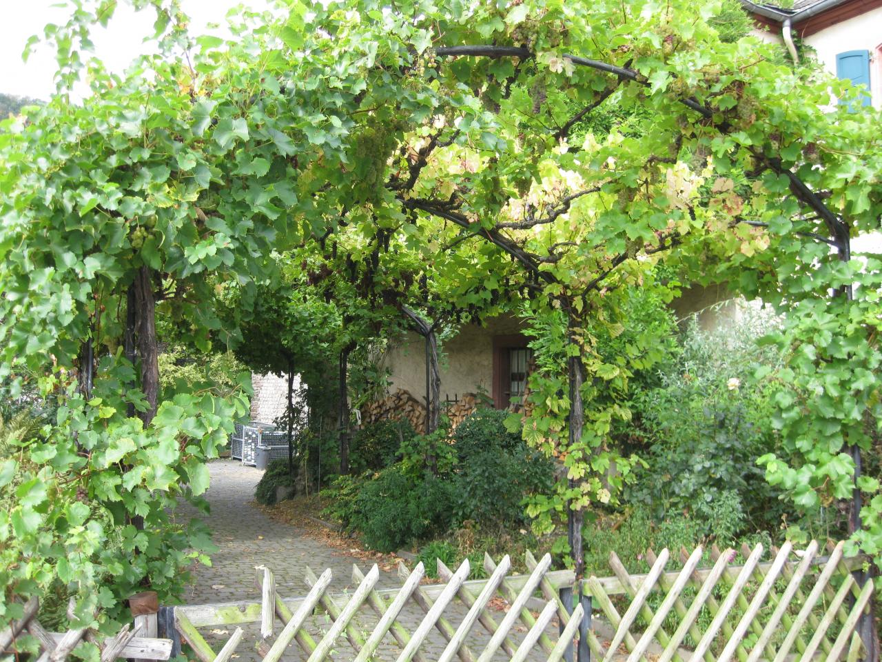 entrée de chez Warsberger