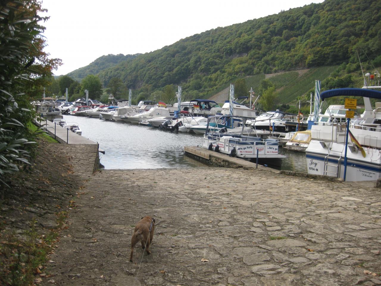 vue sur le port de Neumagen-Dhron