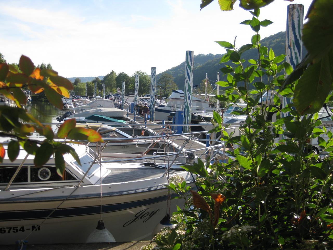 belle vue du port