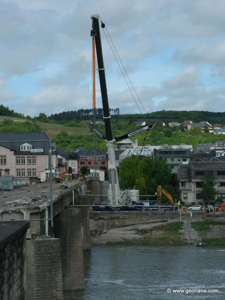 GRUE IMPRESSIONNANTE