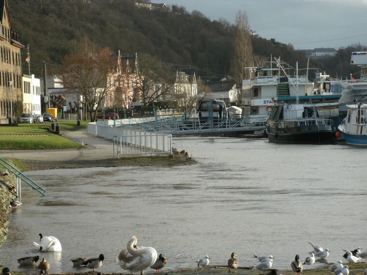LE RHIN