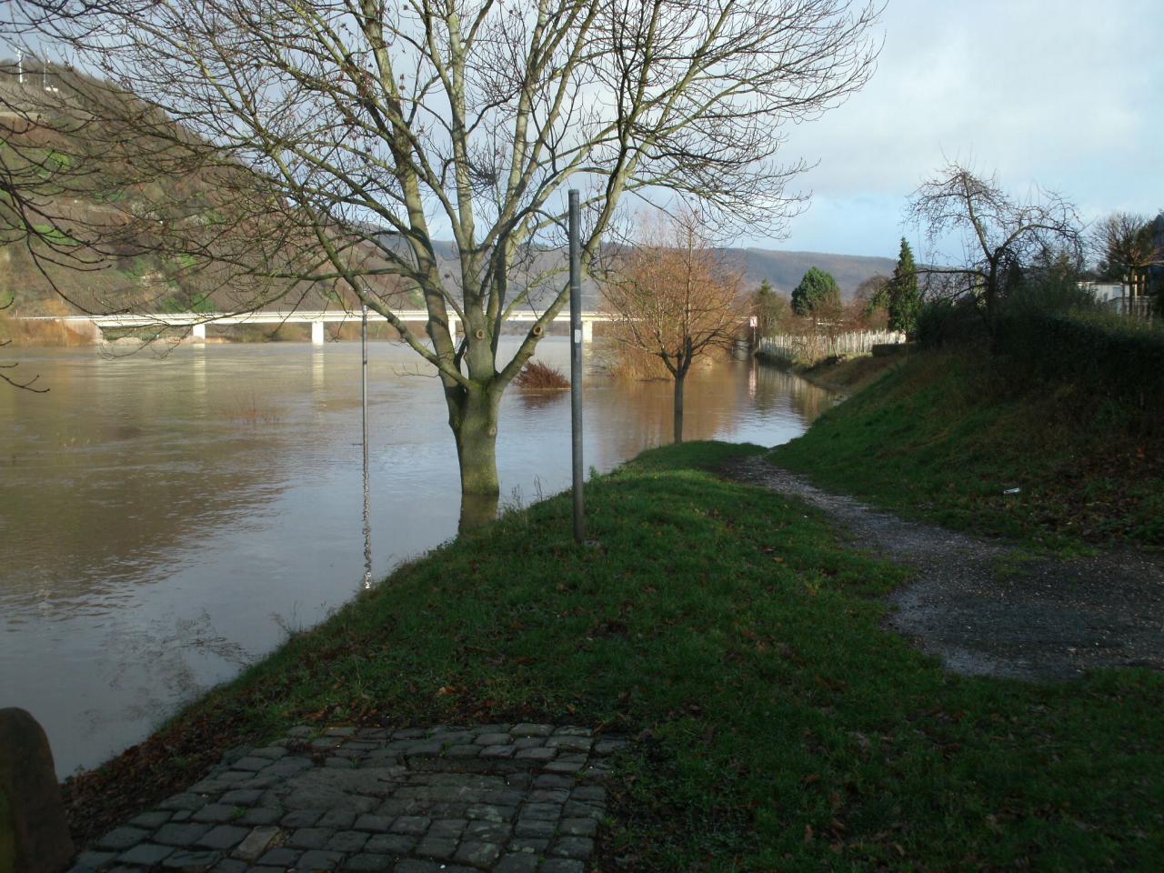LA MOSELLE EN CRUE