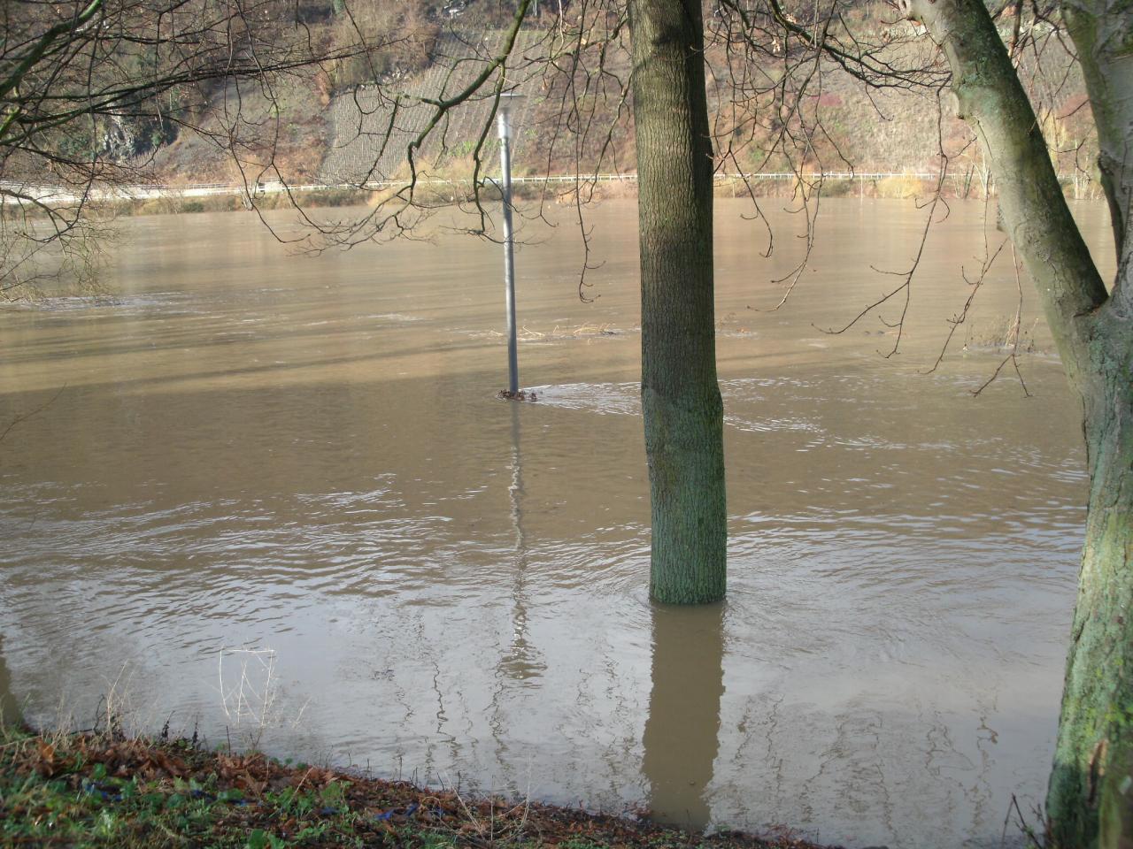 NOTRE ALLÉE SOUS EAU