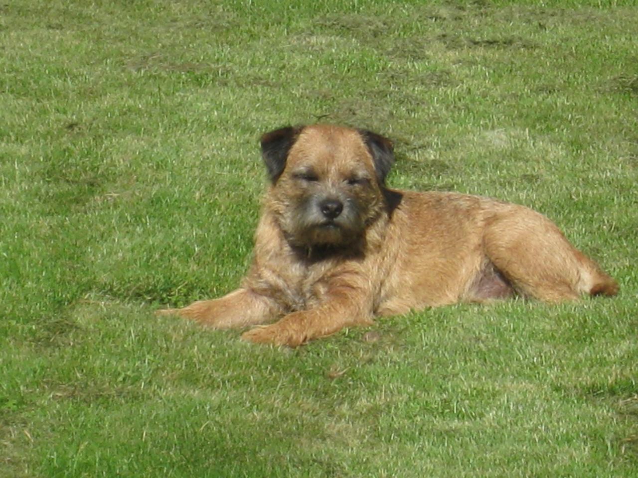 DANS LE JARDIN