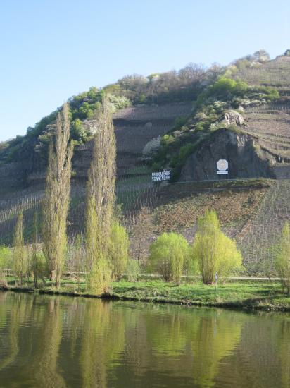 berges sur la Moselle