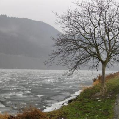 WINTER 2009 NEUMAGEN-DHRON