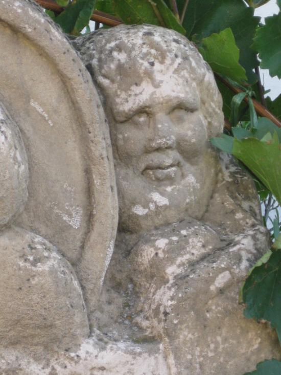 FRÖHLICHE STEUERMANN
