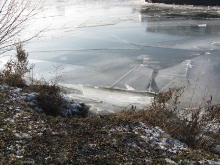 GLAçONS GRIMPANT SUR LES BERGES