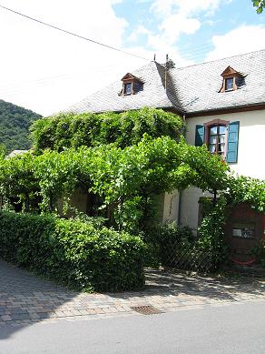 TOUT EN VERDURE