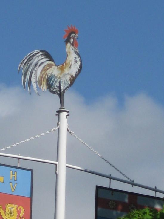 LE COQ DU HAUT DE SON MAT