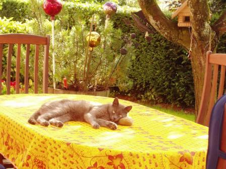 Max au repos