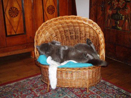 Max en plein somme