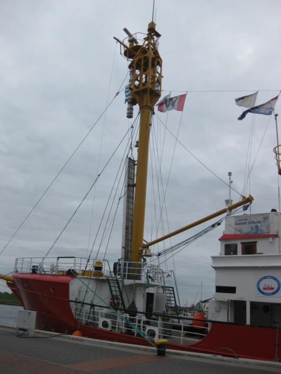 ELBE 1 AVEC SA CORNE DE BRUME