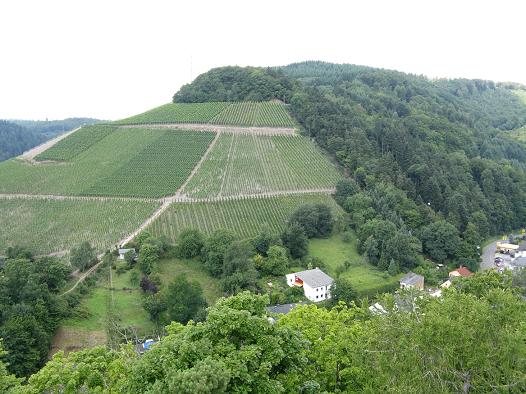 LES VIGNES AUTOUR DE SAARBURG