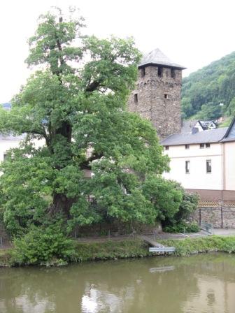 DAUSENAU