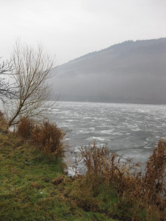 MOSELLE GELÉE AVANT DETZEM