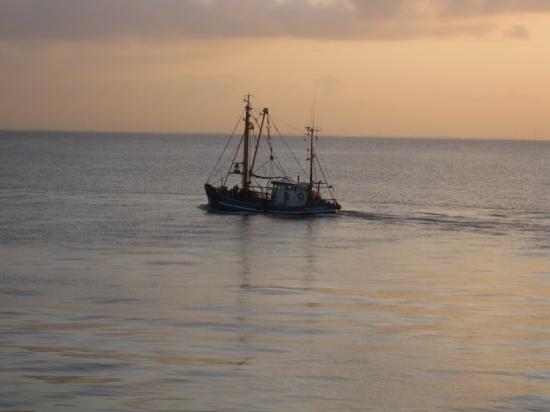 COUCHER DE SOLEIL AVEC BATEAU PÊCHEUR