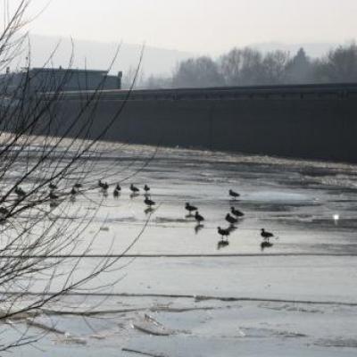 JANV. 2009- MOSELLE ET SARRE GELéES.