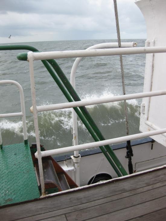 VAGUE CONTRE  ELBE 1
