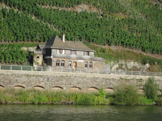 TRITTENHEIM