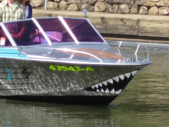 SHARK...