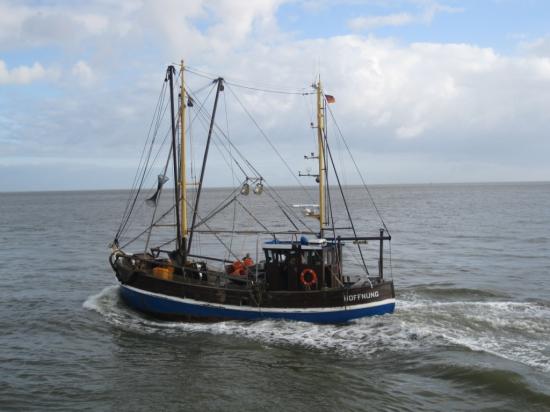 BATEAU PÊCHEUR