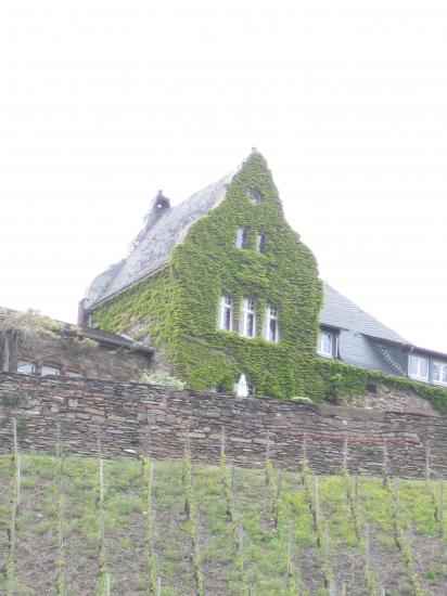 SUR LA SARRE