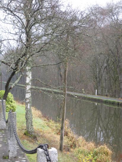 LE CANAL DES VOSGES