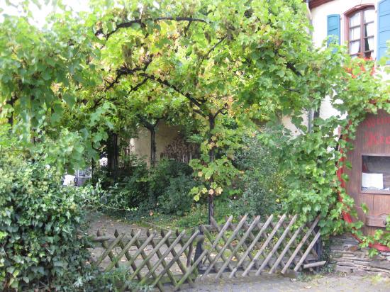 ENTRÉE DE CHEZ WARSBERGER WEINHOF
