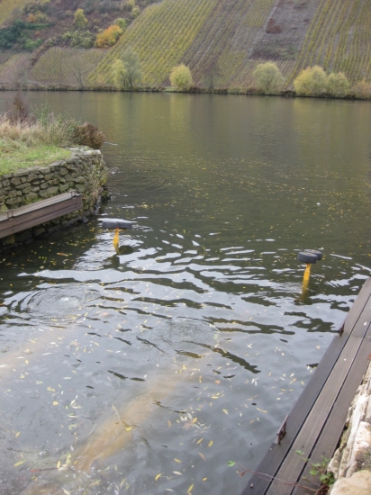 REMORQUE SOUS EAU