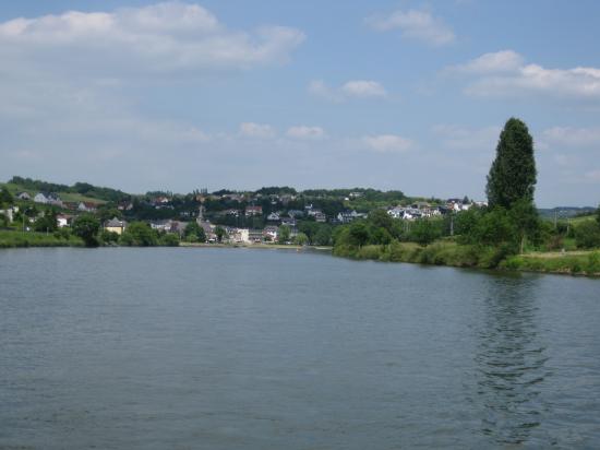 VUE SUR LA MOSELLE