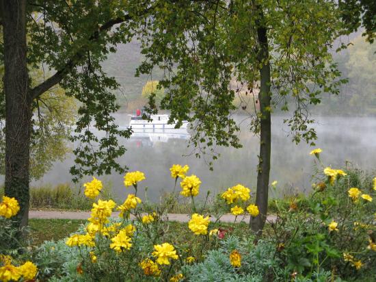 DERNIÈRE FLORAISON TERRIENNE