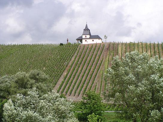Chapelle dans les vignes