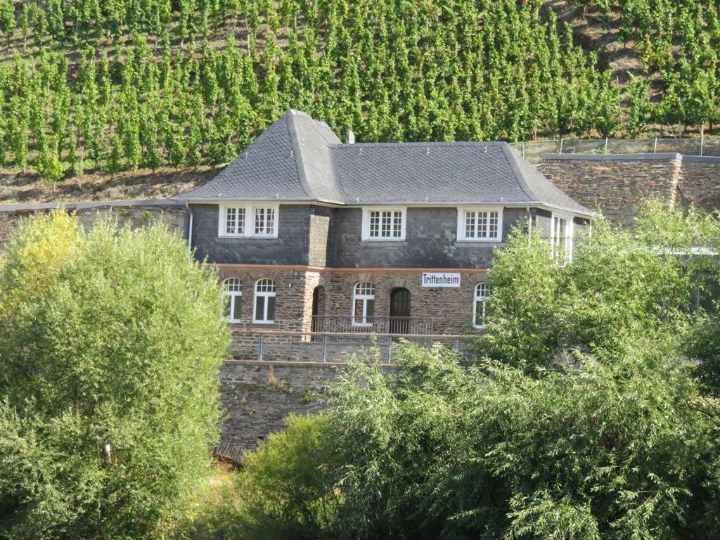 TRITTENHEIM