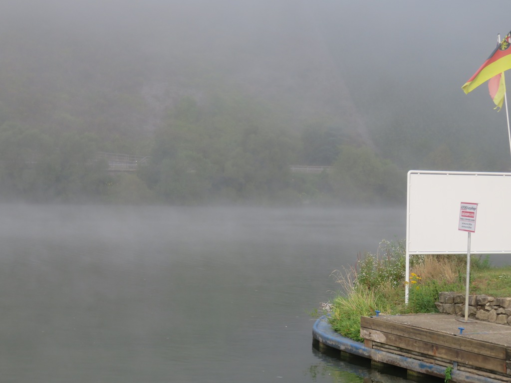 BROUILLARD MATINAL