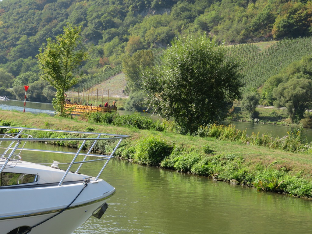 VUE SUR LA MOSELLE
