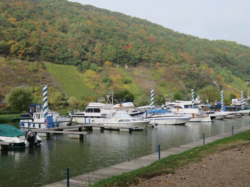 le Port