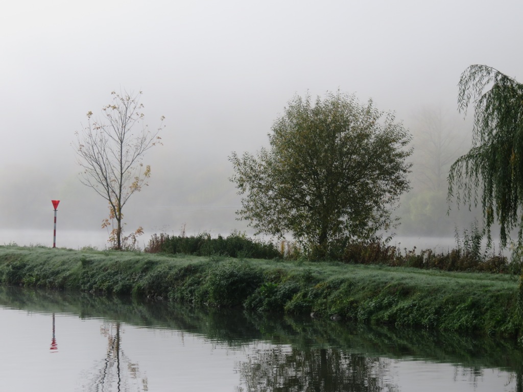 brouillard matinal