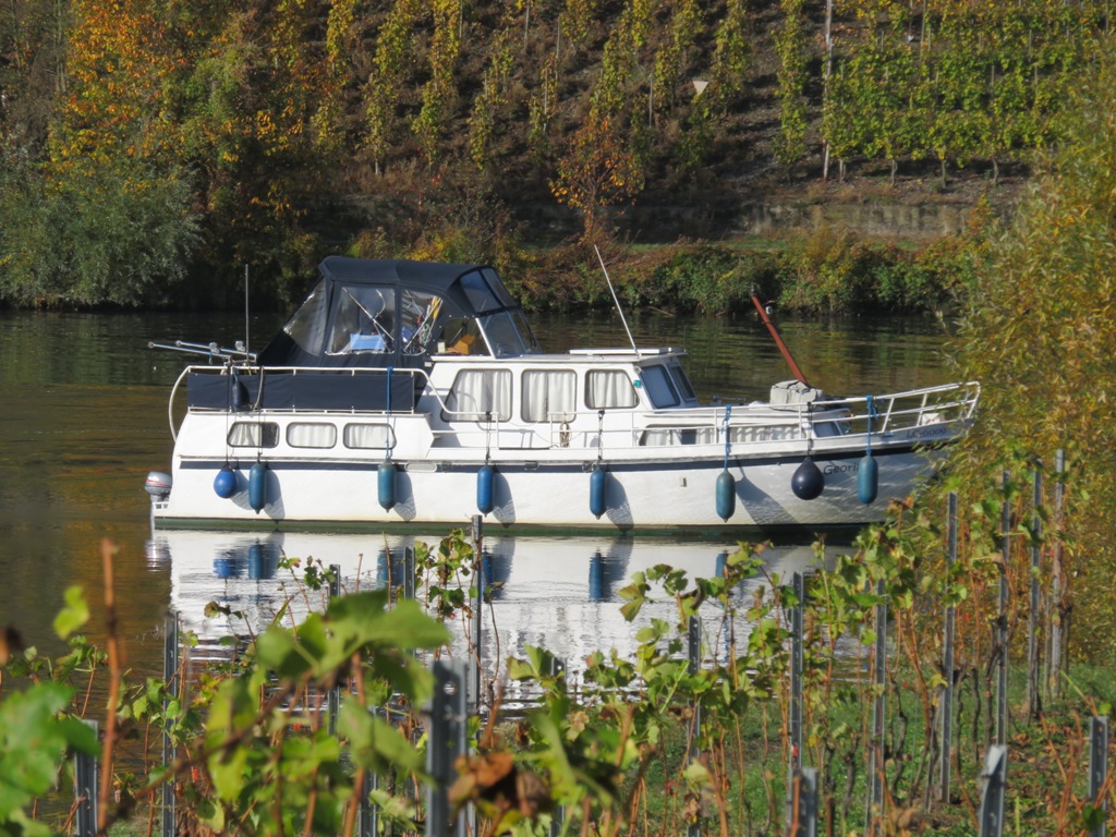 sur la Moselle
