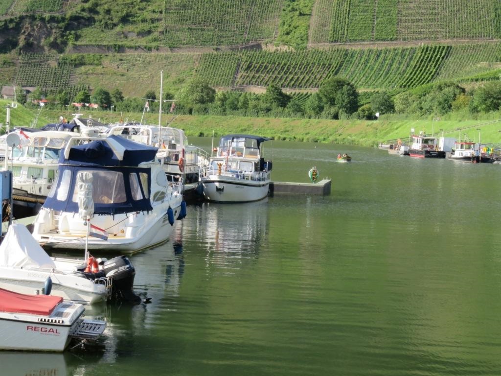 SENHEIM
