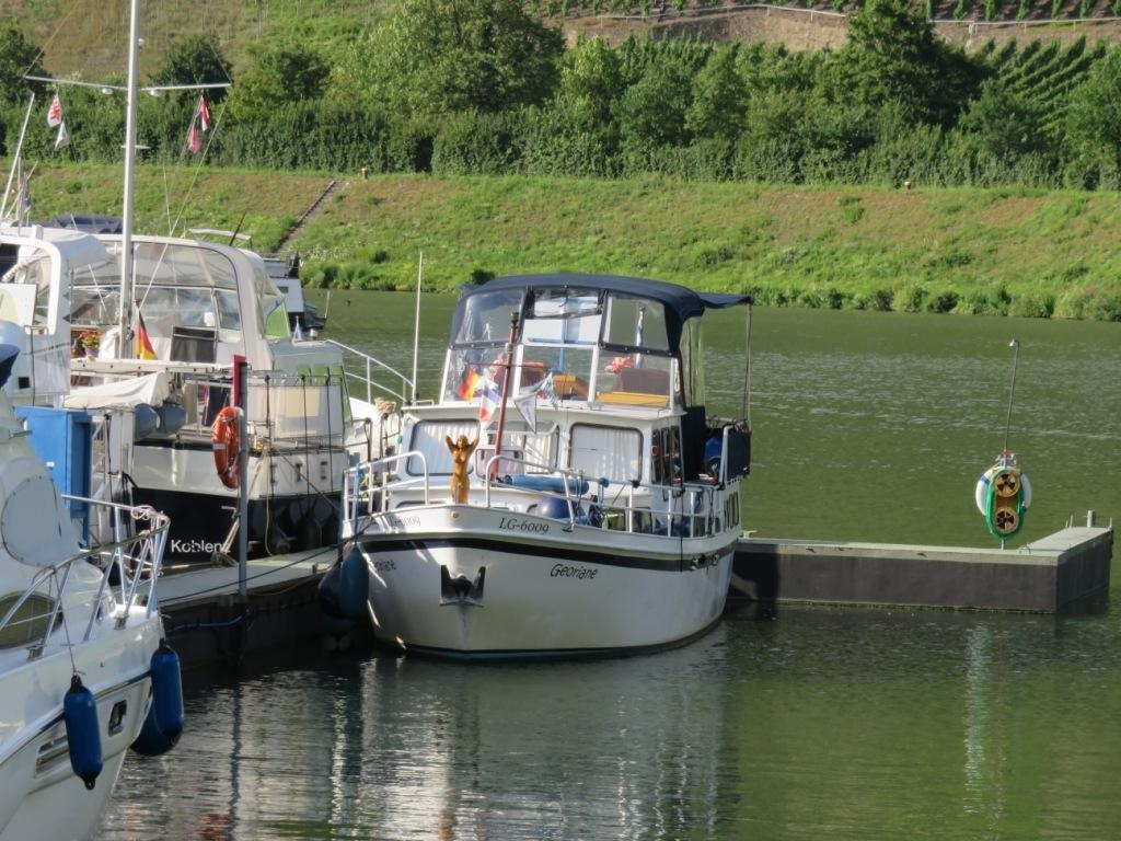 GEORIANE A SENHEIM